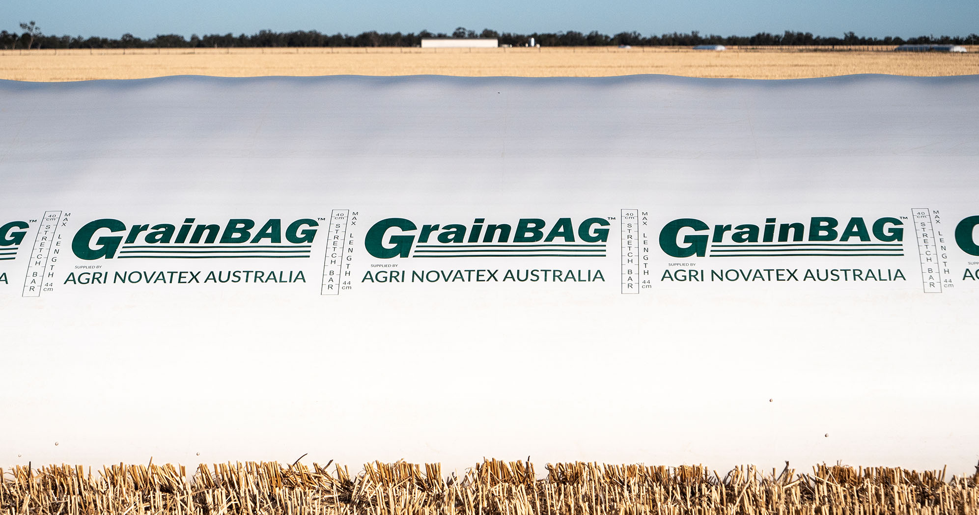Grain Bag
