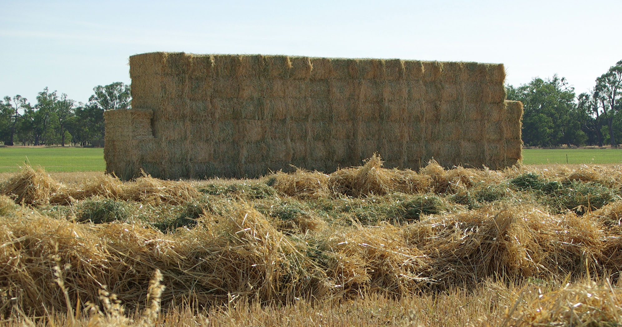 Top Knot Baling Twine Agri Novatex Australia