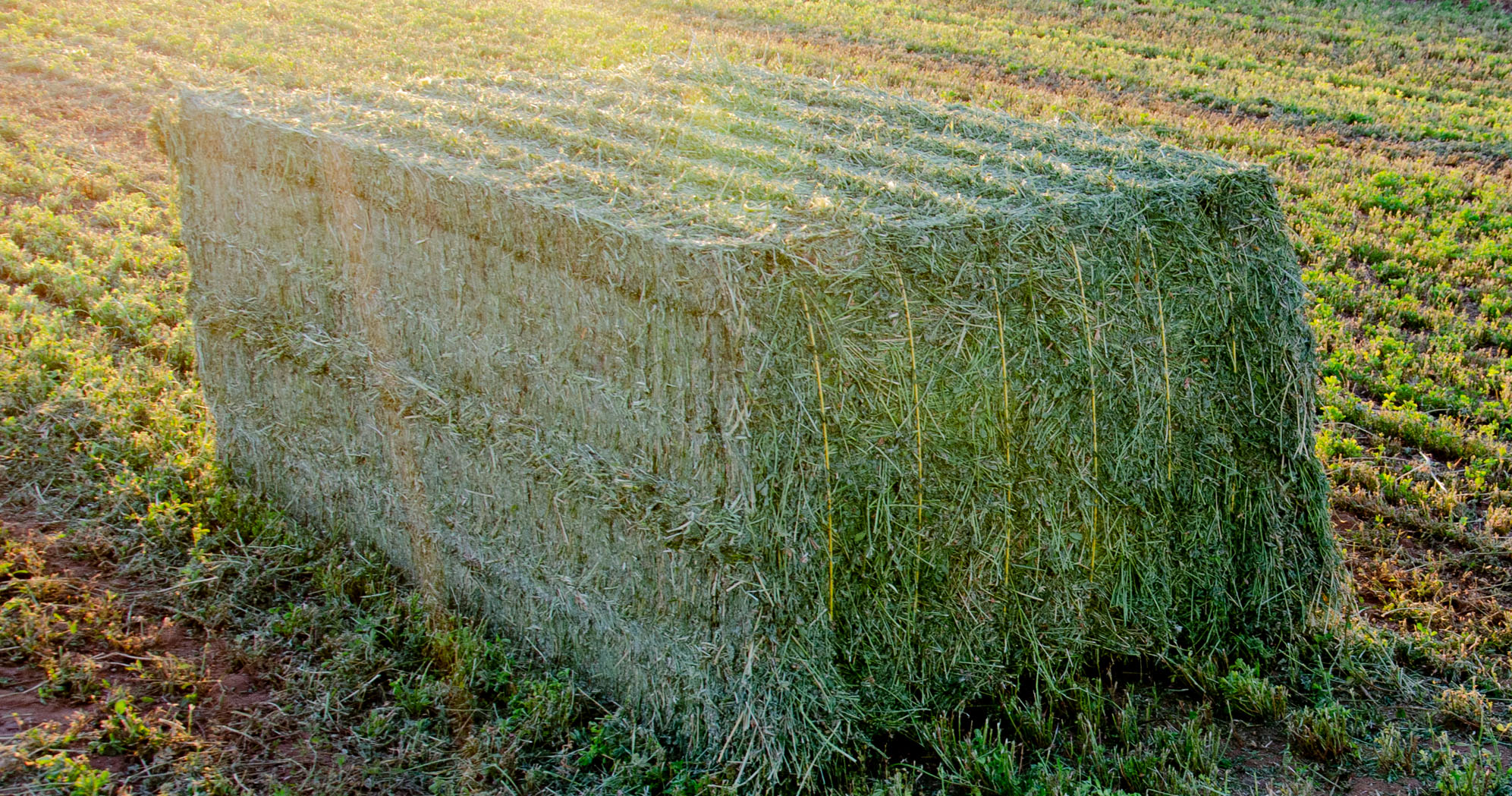 BT Extra Baling Twine Agri Novatex Australia