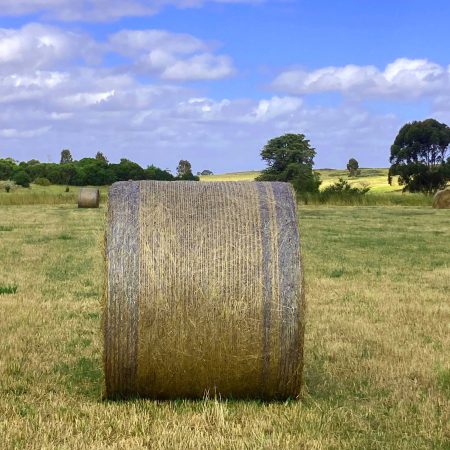 A bale wrapped in netwrap sitting a field in Australia